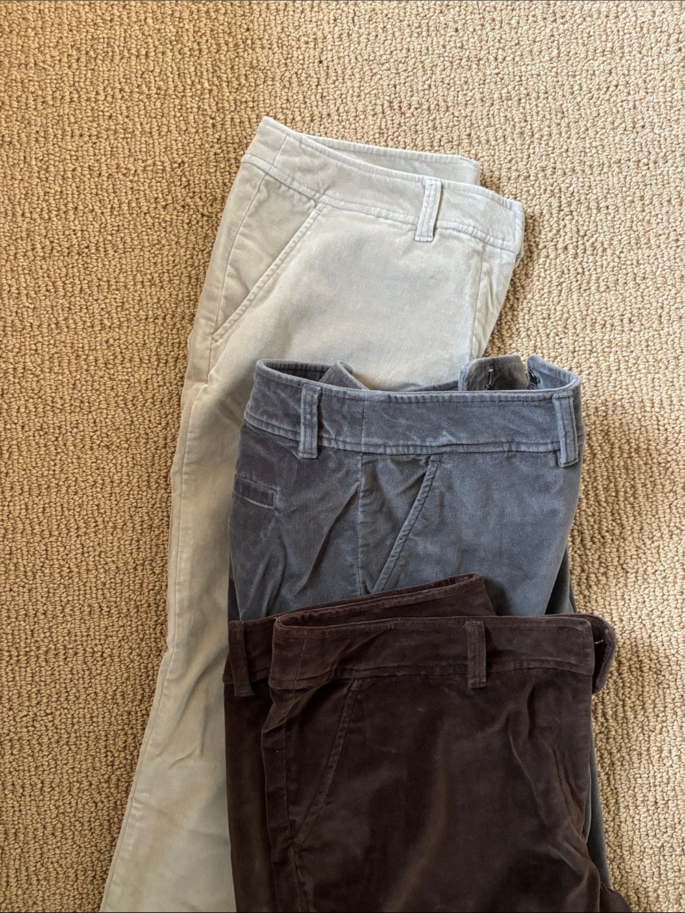 Garnet Hill cotton velvet Trousers in Dark Brown, beige and grey size 10